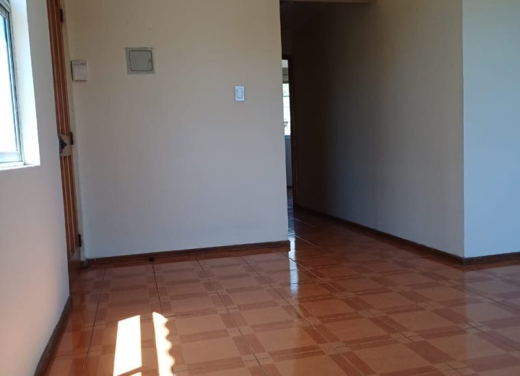 foto (15)